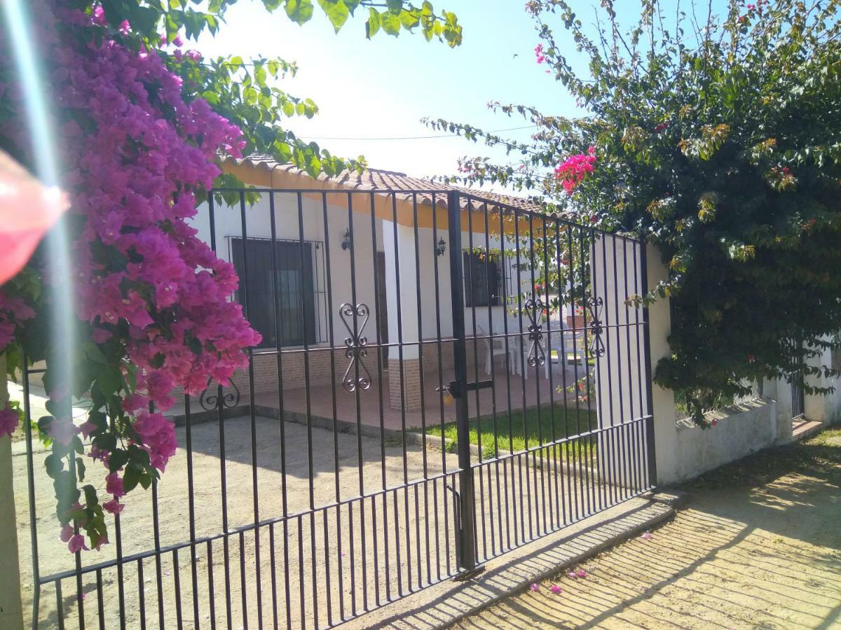 Trujilllo Holiday Home コニル・デ・ラ・フロンテラ エクステリア 写真